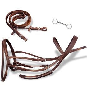 Flash Bridle with Reins and Bit Leather Brown Full