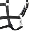 Headcollar Stable Halter Real Leather Adjustable Black Full